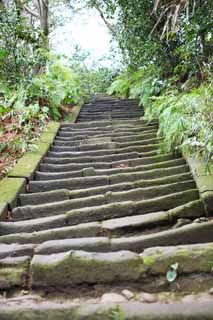 foto,tela,gratis,paisaje,fotografa,idea,Temple escalera de piedra de Zuisen - ji, Chaitya, Jardn Zen Budismo -like, Kamakura, Literatura de los cinco templos de Zen