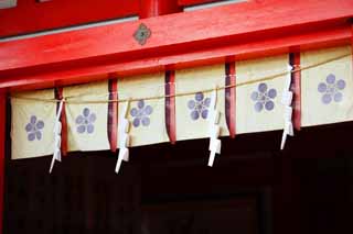 photo,material,free,landscape,picture,stock photo,Creative Commons,An EgaraTenjin-shaShrine main shrine, Shinto shrine, plum, Kamakura, Anger Tenjin