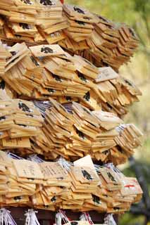 fotografia, material, livra, ajardine, imagine, proveja fotografia,Uma EgaraTenjin-shaShrine votive tablete, Santurio de Xintosmo, ameixa, Kamakura, Enfurea Tenjin