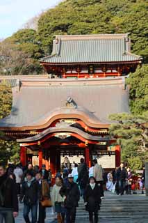 Foto, materieel, vrij, landschap, schilderstuk, bevoorraden foto,Hachiman-gu Heiligdom, Kamakura, Hachiman heiligdom, Gebed, 