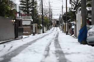 photo,material,free,landscape,picture,stock photo,Creative Commons,A snowy way, road, telephone pole, , 