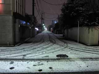 Foto, materieel, vrij, landschap, schilderstuk, bevoorraden foto,Een besneeuwde weg, Straat, Avond uitzicht, , 