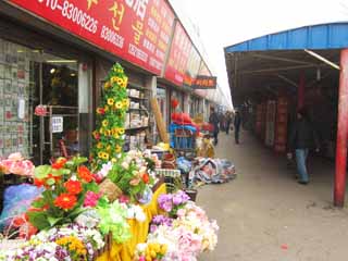 foto,tela,gratis,paisaje,fotografa,idea,Un mercado, Mercado, Una flor artificial, , 