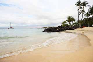 foto,tela,gratis,paisaje,fotografa,idea,Una playa confidencial, Playa arenosa, rbol de palmera, Ola, Yate