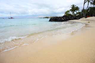 fotografia, materiale, libero il panorama, dipinga, fotografia di scorta,Una spiaggia privata, spiaggia sabbiosa, albero di palme, onda, yacht