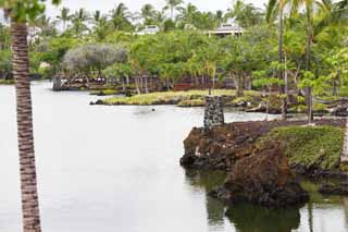 photo,material,free,landscape,picture,stock photo,Creative Commons,MaunaLani fish pound, Lava, An altar, pond, Fishery