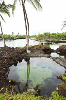 Foto, materiell, befreit, Landschaft, Bild, hat Foto auf Lager,MaunaLani angelt Pfund, Lava, Ein Altar, Teich, Fischereizone