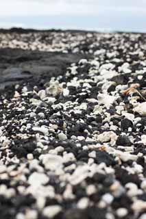 photo,material,free,landscape,picture,stock photo,Creative Commons,White and the black shore, Lava, palm, wave, southern country