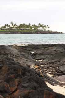 photo,material,free,landscape,picture,stock photo,Creative Commons,Mauna Lani, Lava, palm, wave, power spot