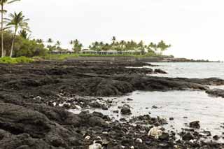 Foto, materieel, vrij, landschap, schilderstuk, bevoorraden foto,Mauna Lani, Lava, Palm, Golf, Drijf stip aan