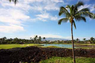 Foto, materieel, vrij, landschap, schilderstuk, bevoorraden foto,Mauna Lani, Lava, Palm, Golfspel, Zuidelijk land