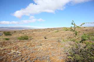 photo,material,free,landscape,picture,stock photo,Creative Commons,The earth of the lava, Green, Brown, Lava, blue sky