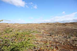 foto,tela,gratis,paisaje,fotografa,idea,La tierra de la lava, Green, Brown, Lava, Cielo azul