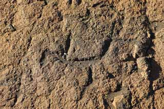 photo,material,free,landscape,picture,stock photo,Creative Commons,Puako Petroglyph, Lava, Lock art, Petroglyph, kaha-kii