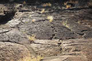 photo,material,free,landscape,picture,stock photo,Creative Commons,Puako Petroglyph, Lava, Lock art, Petroglyph, kaha-kii