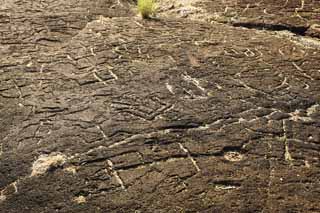 Foto, materiell, befreit, Landschaft, Bild, hat Foto auf Lager,Puako Petroglyph, Lava, Schlieen Sie Kunst ab, Petroglyph, kaha-kii