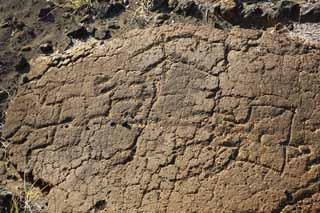 ,,, ,,,Petroglyph Puako., .,  ., Petroglyph., - kii kaha.