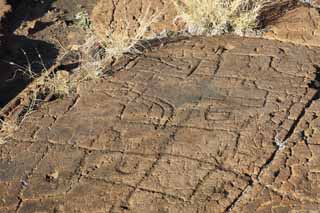 ,,, ,,,Petroglyph Puako., .,  ., Petroglyph., - kii kaha.