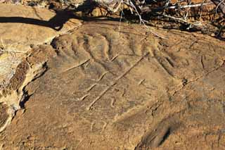 ,,, ,,,Petroglyph Puako., .,  ., Petroglyph., - kii kaha.