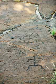 ,,, ,,,Petroglyph Puako., .,  ., Petroglyph., - kii kaha.