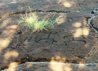 foto,tela,gratis,paisaje,fotografa,idea,Petroglifo de Puako, Lava, Arte de cerradura, Petroglifo, Kaha - kii