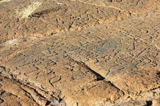 ,,, ,,,Petroglyph Puako., .,  ., Petroglyph., - kii kaha.