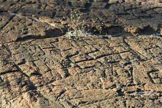 ,,, ,,,Petroglyph Puako., .,  ., Petroglyph., - kii kaha.