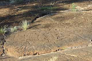 fotografia, material, livra, ajardine, imagine, proveja fotografia,Puako Petroglyph, Lava, Feche arte, Petroglyph, kaha-kii