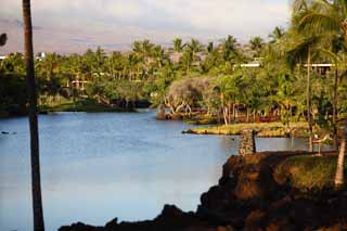 foto,tela,gratis,paisaje,fotografa,idea,Libra de pez de MaunaLani, Lava, Un altar, Laguna, Pesquera