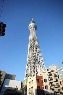 photo,material,free,landscape,picture,stock photo,Creative Commons,Look up at the sky tree, An electric wave tower, sightseeing spot, tower, blue sky