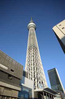 photo,material,free,landscape,picture,stock photo,Creative Commons,Look up at the sky tree, An electric wave tower, sightseeing spot, tower, blue sky