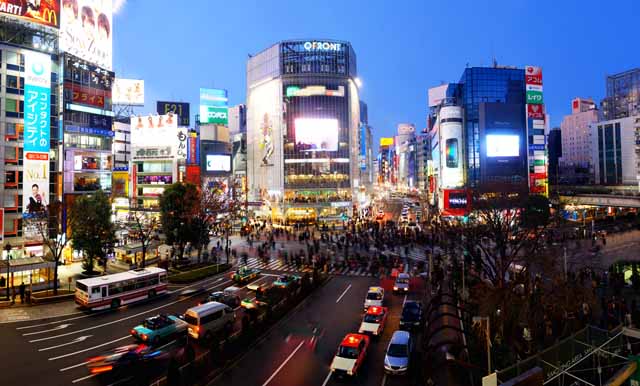 fotografia, materiale, libero il panorama, dipinga, fotografia di scorta,Shibuya intersecazione gratis, folla, pedone, autobus, cartello