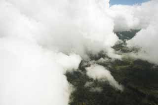 photo,material,free,landscape,picture,stock photo,Creative Commons,Hawaii Island aerial photography, cloud, forest, grassy plain, 