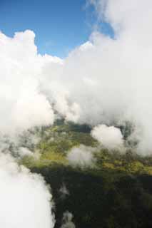 fotografia, materiale, libero il panorama, dipinga, fotografia di scorta,Isola di Hawaii fotografia aerea, nube, foresta, erboso chiaramente, 