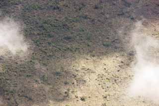 Foto, materieel, vrij, landschap, schilderstuk, bevoorraden foto,Hawaii Eiland luchtfotografie, Lava, Dode boom, Krak in ht gemaald, Woestijn