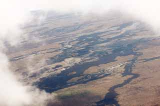 photo,material,free,landscape,picture,stock photo,Creative Commons,Hawaii Island aerial photography, Lava, dead tree, crack in the ground, Desert