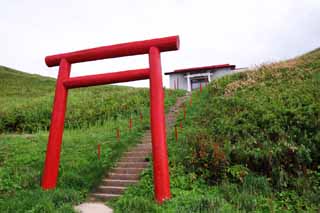 Foto, materiell, befreit, Landschaft, Bild, hat Foto auf Lager,Torii im nrdlichen Ende, Schrein, torii-Tor, Treppe, Weideland