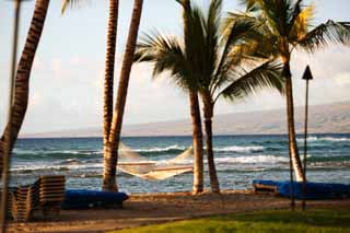 Foto, materiell, befreit, Landschaft, Bild, hat Foto auf Lager,Hngematte Hawaii Insel, , , , 