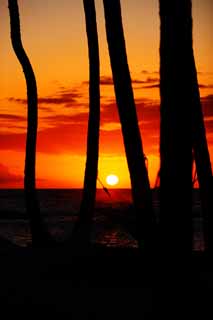 fotografia, materiale, libero il panorama, dipinga, fotografia di scorta,Tramonto Isola delle Hawaii, , , , 