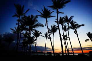 fotografia, material, livra, ajardine, imagine, proveja fotografia,Hawaii Island Beach, , , , 