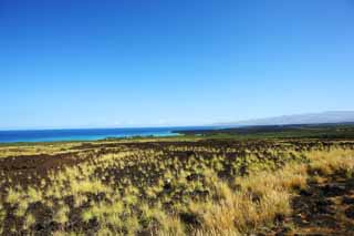 photo,material,free,landscape,picture,stock photo,Creative Commons,Hawaii Island lava plateau, , , , 