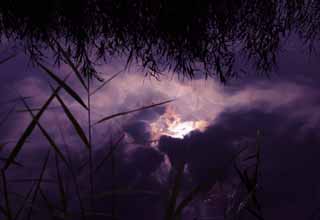 fotografia, materiale, libero il panorama, dipinga, fotografia di scorta,Imporpori nube su una superficie di acqua, superficie di acqua, sole, nube, luminosit