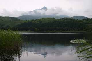 photo,material,free,landscape,picture,stock photo,Creative Commons,White lover, water surface, mountain, sky, cloud