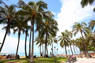 fotografia, materiale, libero il panorama, dipinga, fotografia di scorta,La spiaggia di Waikiki, , , , 