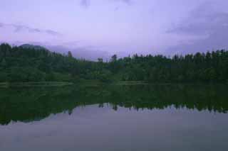 fotografia, materiale, libero il panorama, dipinga, fotografia di scorta,Mattina lo stagno di Himenuma, superficie di acqua, albero, cielo, HimenumPond