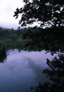 Foto, materiell, befreit, Landschaft, Bild, hat Foto auf Lager,Nebliger Morgenteich, Wasseroberflche, Baum, Himmel, HimenumPond