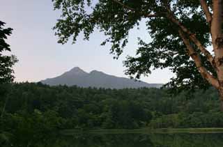 photo,material,free,landscape,picture,stock photo,Creative Commons,Mt. Rishiri-fuji, tree, mountain, sky, HimenumPond