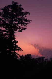 Foto, materieel, vrij, landschap, schilderstuk, bevoorraden foto,Zonsopgang gloeien en een boom, Zonsopgang gloeien, Rood, Wolk, Lucht