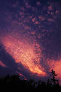 photo, la matire, libre, amnage, dcrivez, photo de la rserve,Nuages du lever du soleil, incandescence du lever du soleil, rouge, nuage, ciel