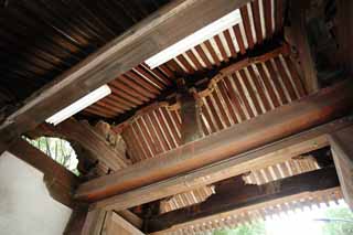 photo,material,free,landscape,picture,stock photo,Creative Commons,Shitennoji Temple Gate, , , , 